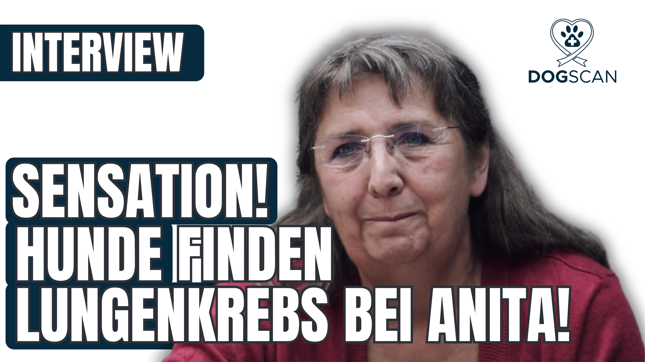 Laden Sie das Video: 